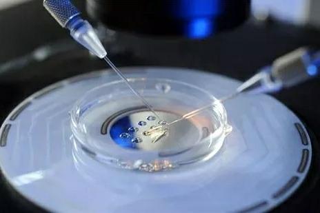 万级层流胚胎实验室